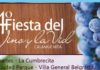 FIESTA DEL VINO Y LA VID