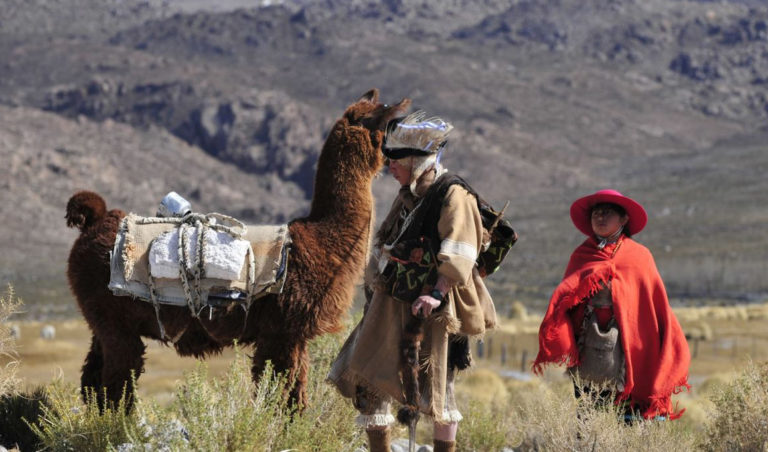 XXIX FIESTA DEL  NIQUIXAO EN EL RODEO CATAMARCA
