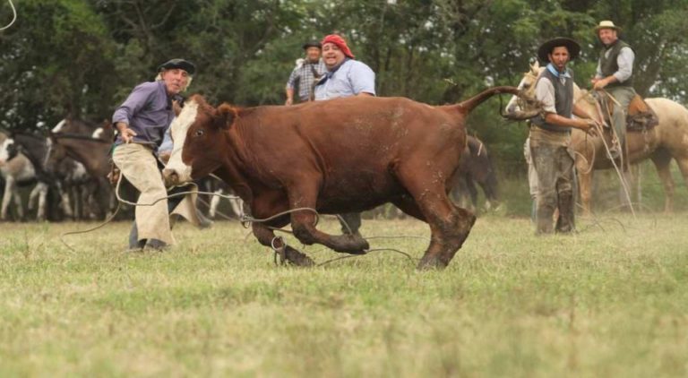 45° FIESTA PROVINCIAL DE LA YERRA EN CAYASTÁ