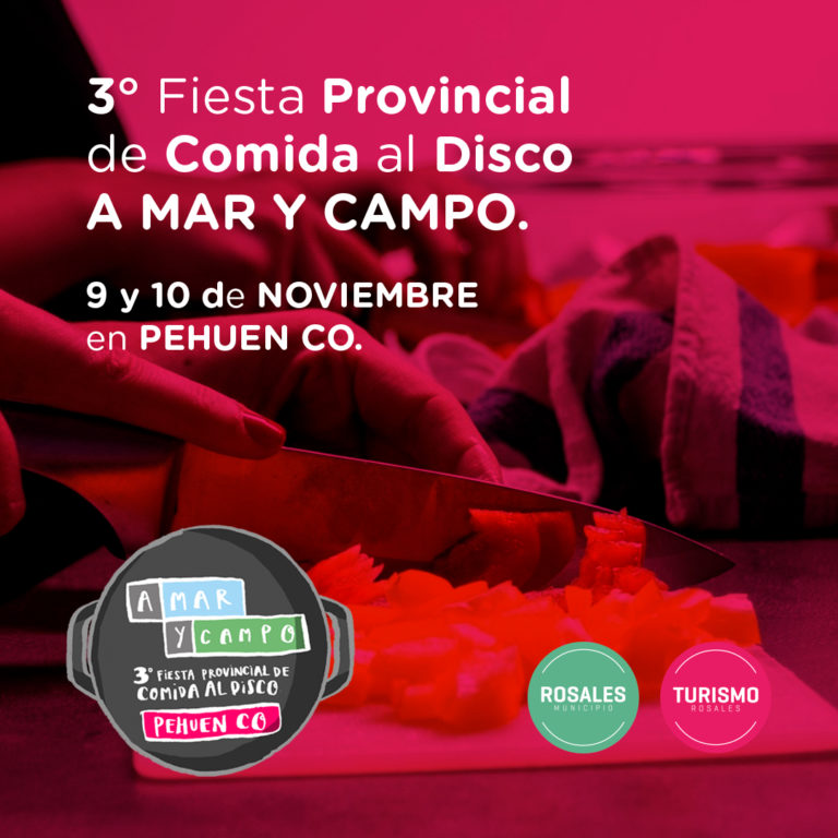 FIESTA DE L COMIDA AL DISCO A MAR Y CAMPO EN PEHUEN ´CO  BUENOS AIRES